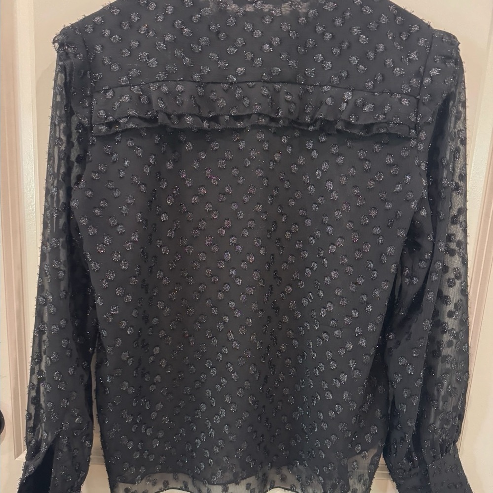 BNWT Isabel Marant Airy Sheer Polka Dot Blouse size 34/USXS $430 - Picture 4 of 10